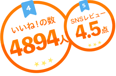 いいね！の数4894人、SNSレビュー4.5点