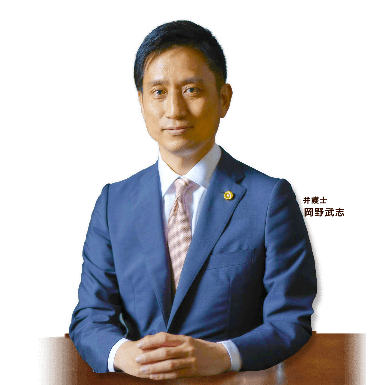 弁護士 岡野武志